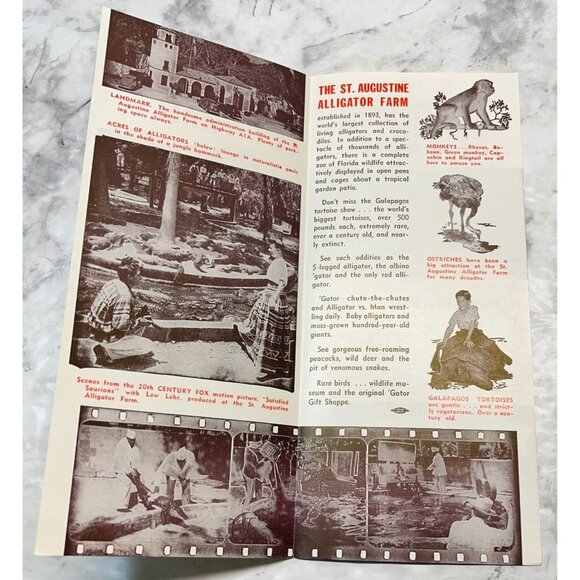 St Augustine Alligator Farm Brochure Florida Travel Souvenir Pamphlet Hwy A1A - Picture 3 of 6